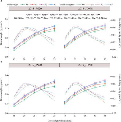 Nitrogen fertilizer application rate affects the dynamic metabolism of nitrogen and carbohydrates in kernels of waxy maize